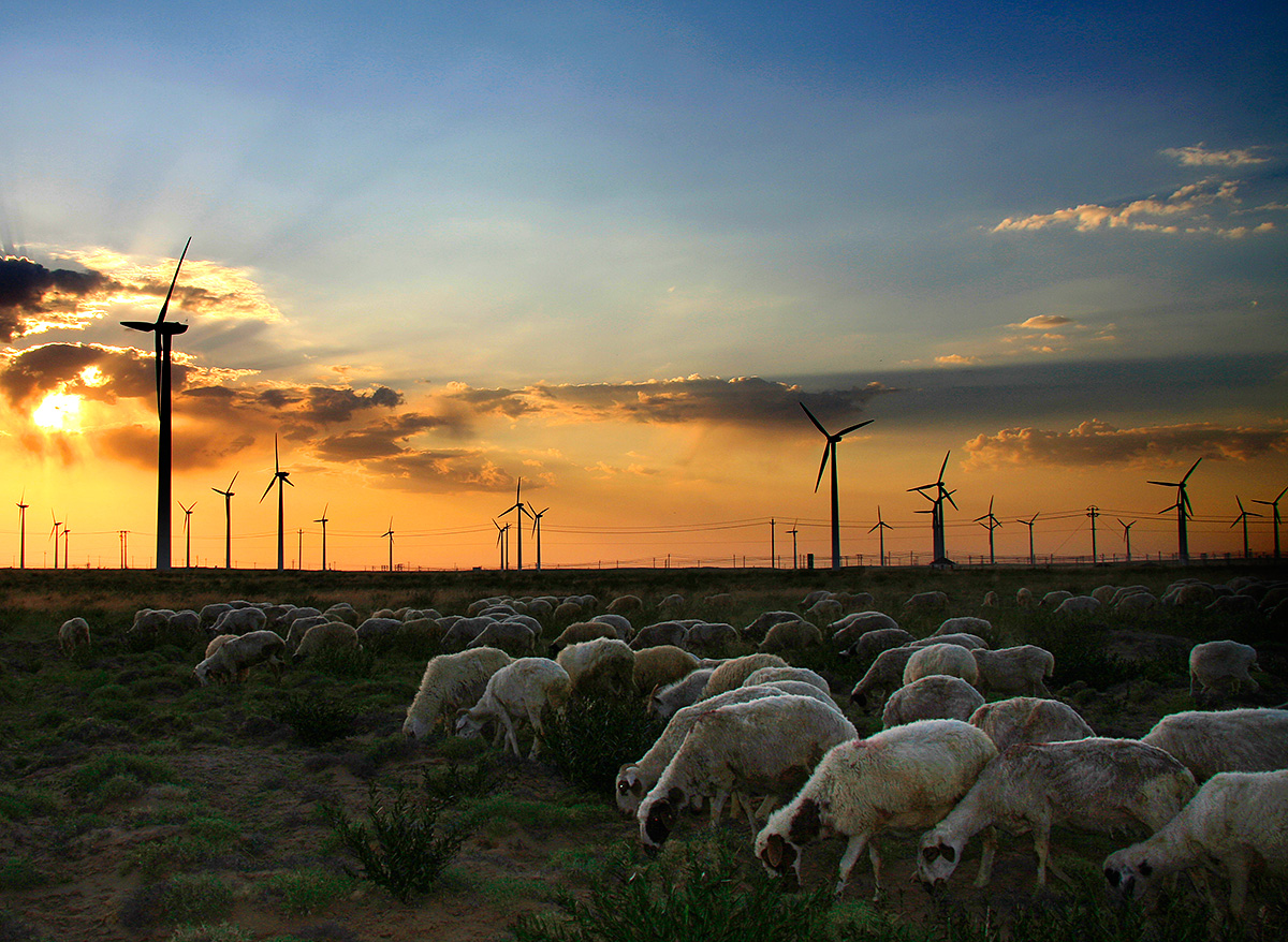 Africa-wind-farm
