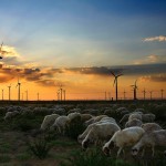 South Africa dramatically raises wind ambitions